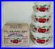 Fire_King_Apple_Cherry_Mixing_Bowl_Set_In_Box_RARE_MINT_NOS_Red_Green_01_pmbt