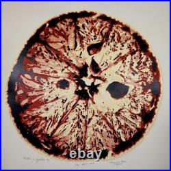 Marjorie Bean 1975 Frutas y Vegetales #4 Original Acrylic Painting Signed 24x22