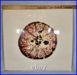 Marjorie Bean 1975 Frutas y Vegetales #4 Original Acrylic Painting Signed 24x22