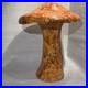 RARE_Vintage_MCM_Mid_Century_Modern_Arnel_s_GIANT_Ceramic_Magic_Mushroom_01_fn