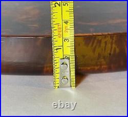 Rare Guzzini Serving Tray Tortoise Shell Lucite & Brass MCM Italy 1970s