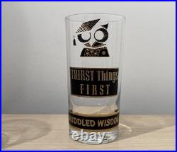 Rare MCM Vintage 60s Georges Briard Muddled Wisdom Owl Highball Glasses Set Of 5
