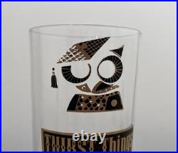 Rare MCM Vintage 60s Georges Briard Muddled Wisdom Owl Highball Glasses Set Of 5