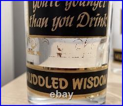 Rare MCM Vintage 60s Georges Briard Muddled Wisdom Owl Highball Glasses Set Of 5