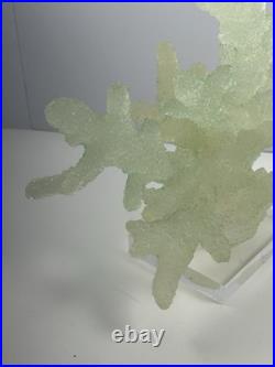 Rare Mid Century Modern MCM Frosted Lucite Coral Sculpture On Base Marine Life