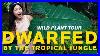 Rare_Tropical_Plant_Greenhouse_Tour_Massive_Wild_Monstera_Deliciosa_5ft_Colocasia_La_Arboretum_01_odxc