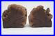 Rare_Unique_Burl_Wood_Bookends_Rustic_Library_Mid_Century_Modern_01_rb