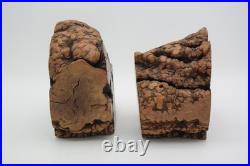 Rare Unique Burl Wood Bookends Rustic Library Mid Century Modern