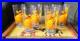 Rare_Vintage_Mid_Century_Modern_Mexican_themed_Tray_and_6_Tumblers_01_mo