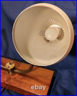 Rare Vtg Mid-Century Modern Gooseneck Desk Lamp Wooden Tips and Bottom