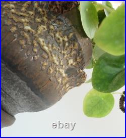 Rare large vintage jopeko PLANT STAND plant pot with base fat lava ceramic 1970s