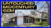 Untouched_Midcentury_Gem_Midcenturymodern_Twincitiesrealestate_Stlouisparkhome_01_yza