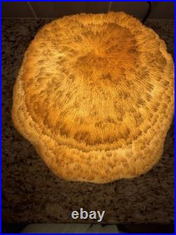 Vintage Coral Mushroom Lamp Excellent Works RARE
