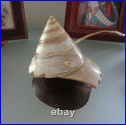 Vintage Seashell Lamp Sea Shell Lamp Hand Made 60's Mid-Century Modern Rare