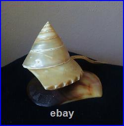 Vintage Seashell Lamp Sea Shell Lamp Hand Made 60's Mid-Century Modern Rare